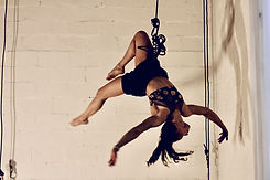 IMG_4229.jpg