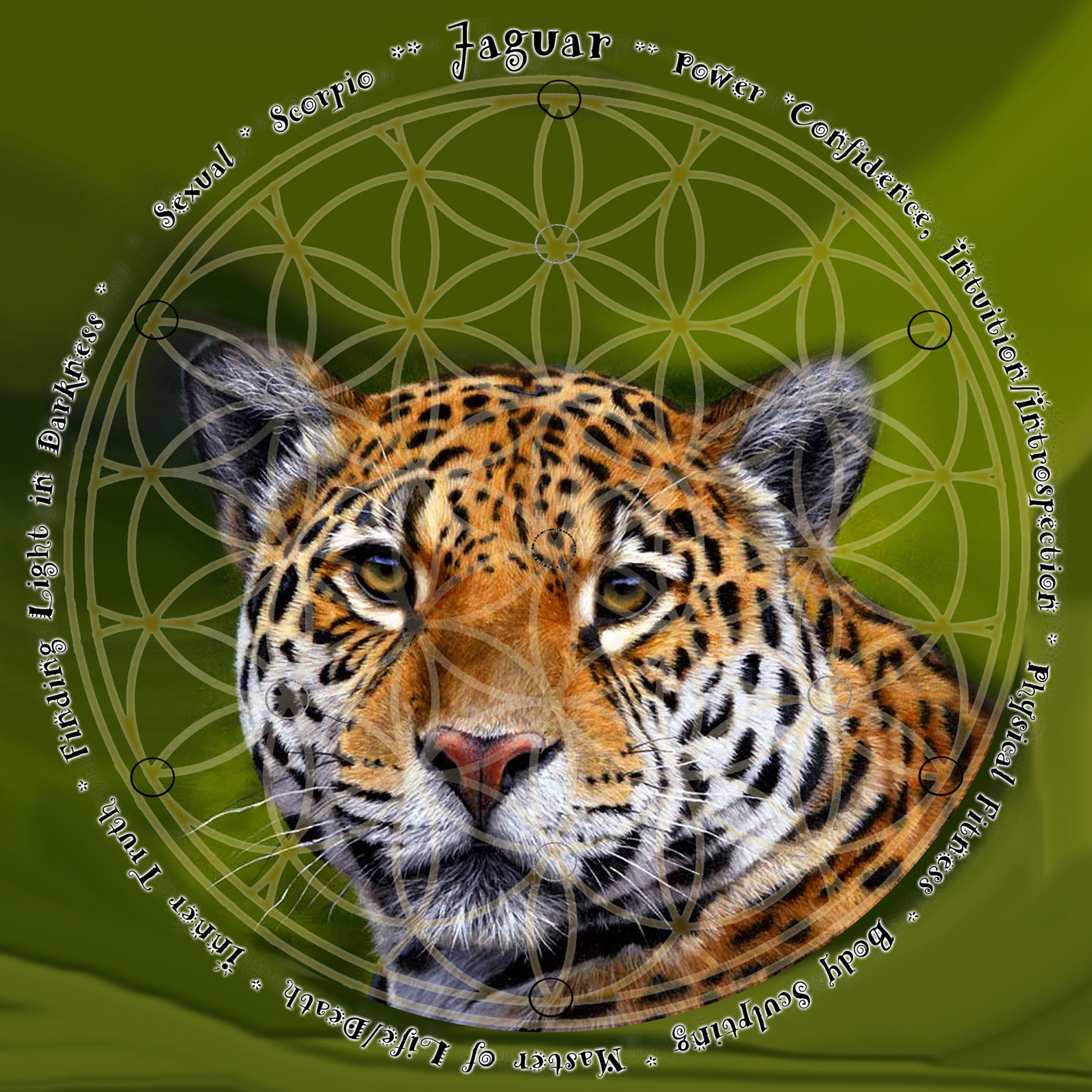 JAGUAR Animal Totem Grid