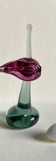 Birdskull icon and egg in glass