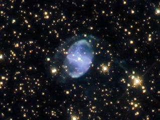 "VÉNUS"