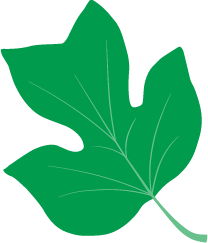 SCCF Announces Revision of Spring Cycle Grants Policy Due to COVID-19
