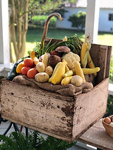 Peace Hill Market Garden Veggies