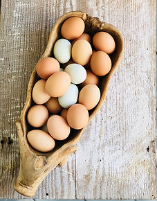 FARM EGGS.jpeg