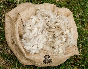 LooseWool.jpg