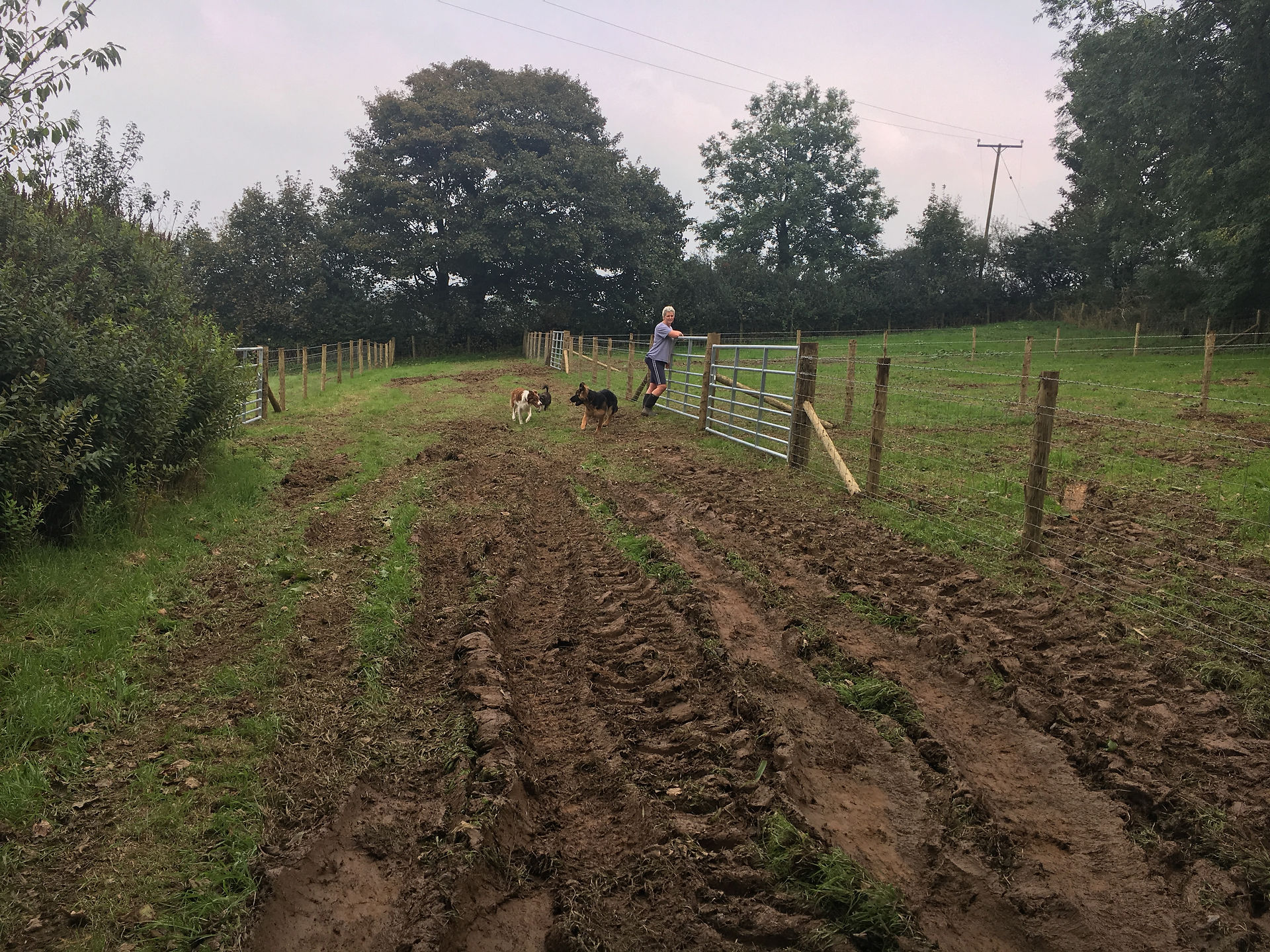 Newly completed paddocks