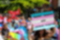 An image from Crawley Pride Parade. A lady is holding a glittery sign painted in the colours of the Trans Flag. The sign says 'Trans Rights are Human Rights'
