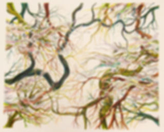 Echoes by Anna Newcomb.jpeg