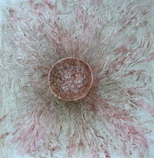 Mushroom and Mycelium