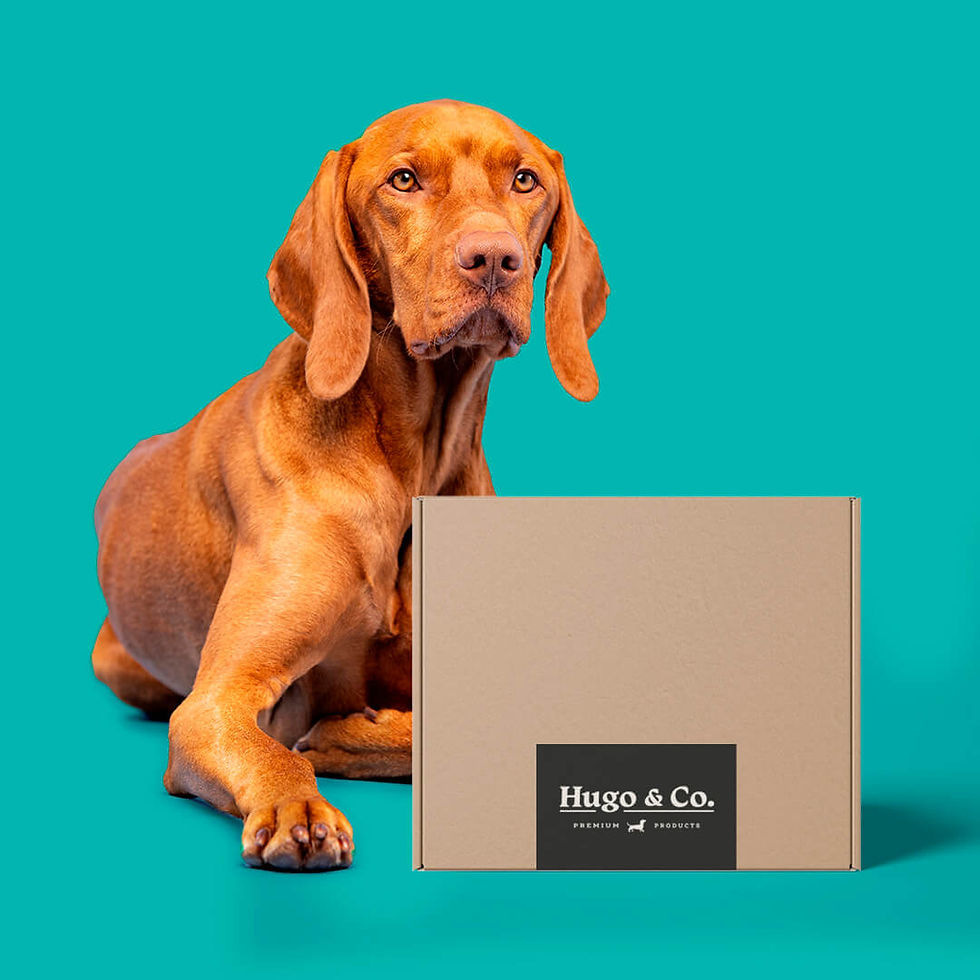 The Mega Variety Deli Box