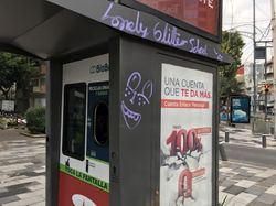 Quita Graffiti.JPG