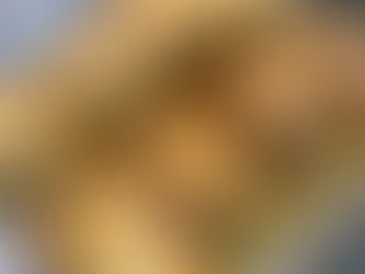 Ελαφριά Παπουτσάκια με Μοσχαρίσιο Κιμά και Τυρί Χαμηλών Λιπαρών