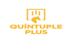 QUÃNTUPLE_PLUS