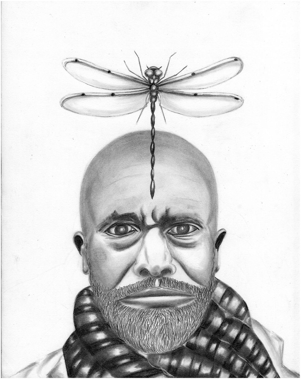 Enter the Dragonfly
