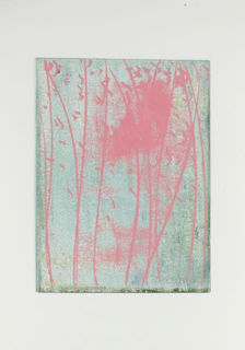 Feenkraut, Monotypie, 2020, 42x30, Eva Schnitzer