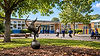 NEW Schoolyard.jpg