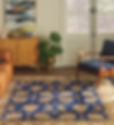 Nourison Rugs and Décor