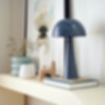 Nourison Rugs and Décor