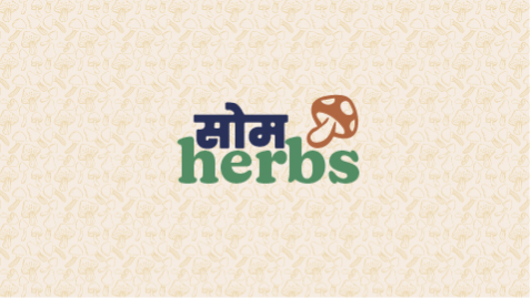initial logo options-03 1