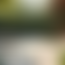 Discover Today's Top Outdoor Design Trends