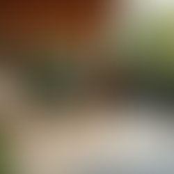 Top Outdoor Living Design Trends for Your Backyard