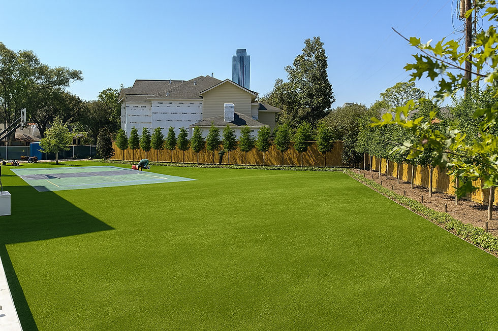 Eye-level view of lush artificial turf lawn in a sunny backyard