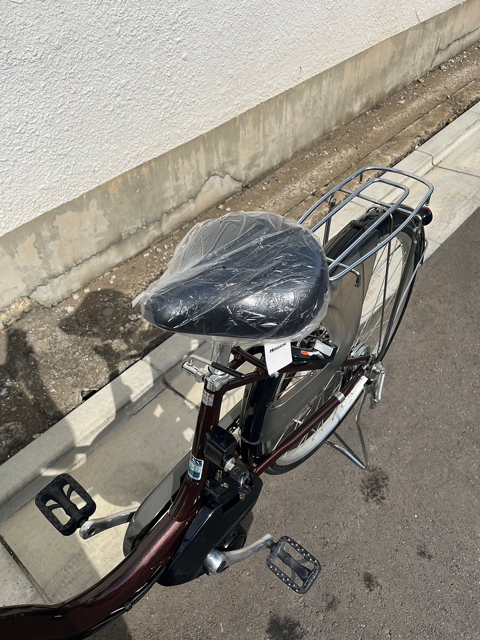 サムネイル： ヤマハ　PAS　Natura