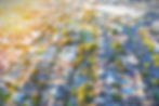 neighborhood_edited_edited.jpg