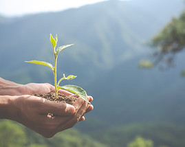 conservacion-ambiental-en-el-jardin-para-ninos.jpg