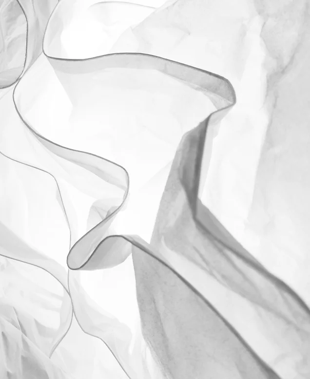 daniele-levis-pelusi-mkMSXR86kYY-unsplash.webp