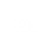 Logo Gol.png