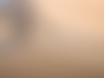 Por que os homens procuram uma agência de relacionamento?