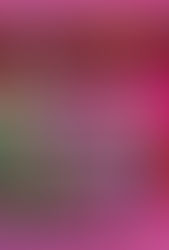 鯖合併記念、壺イベ開催決定!