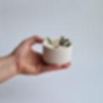 Miniature : Bougie fleurie 'Musc blanc'