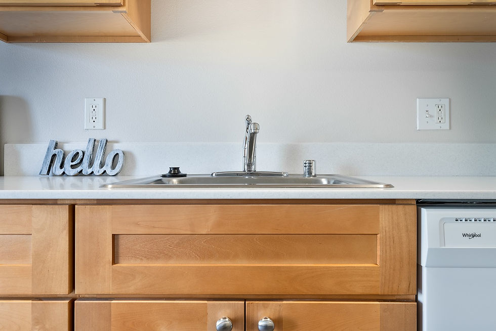 Salt & Pepper Acrylic Countertop