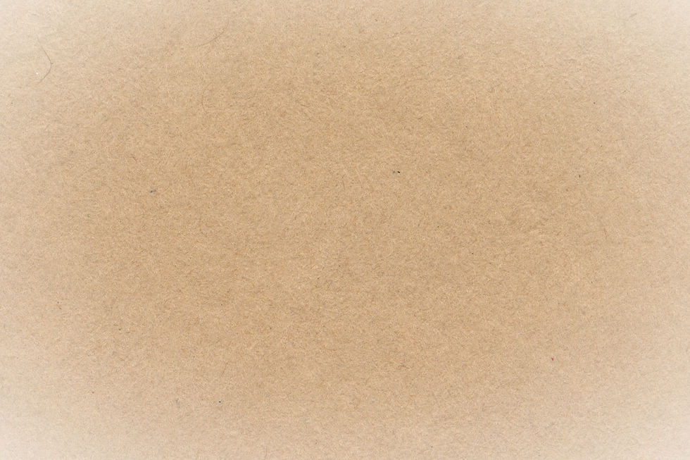 Beige kraft paper texture, Abstract background high resolution._edited.jpg