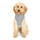 Thumbnail: Nayked Pet Hoodie