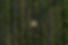 1586964485878.jpeg