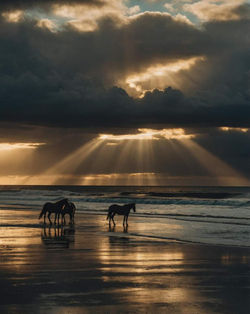 FB_IMG_1727395022720