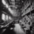 vampire killing kits warehouse