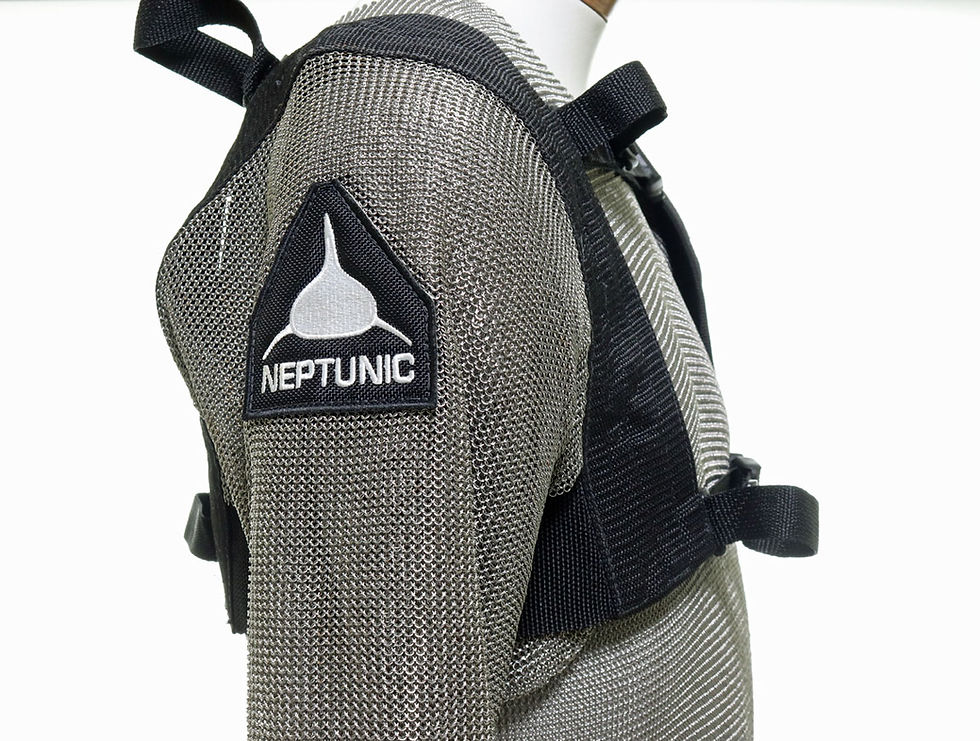 Thumbnail: Neptunic Stainless Steel Chainmail Shark Suit!