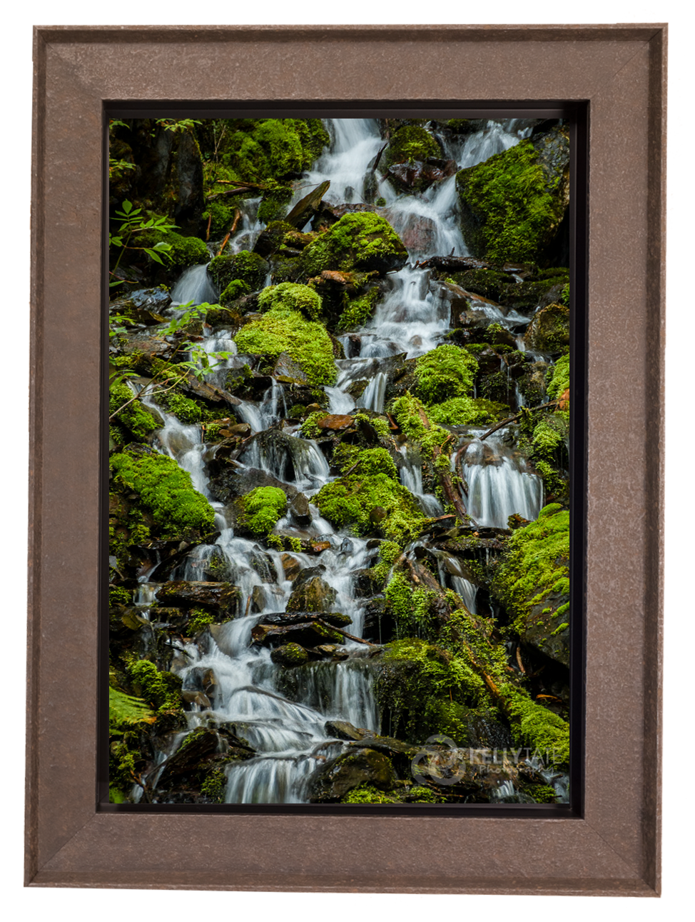 Thumbnail: Waters of Eden
