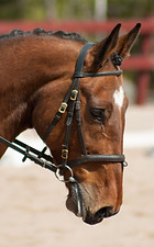 DSC_0693_edited.jpg