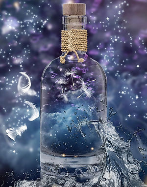 bottle-7232350_1280(1).jpg