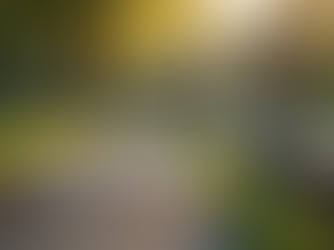 高品質寵物葬禮服務的意義