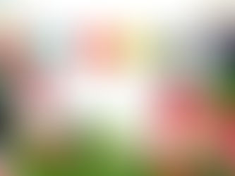 It’s Go-Time for Christmas Marketing!