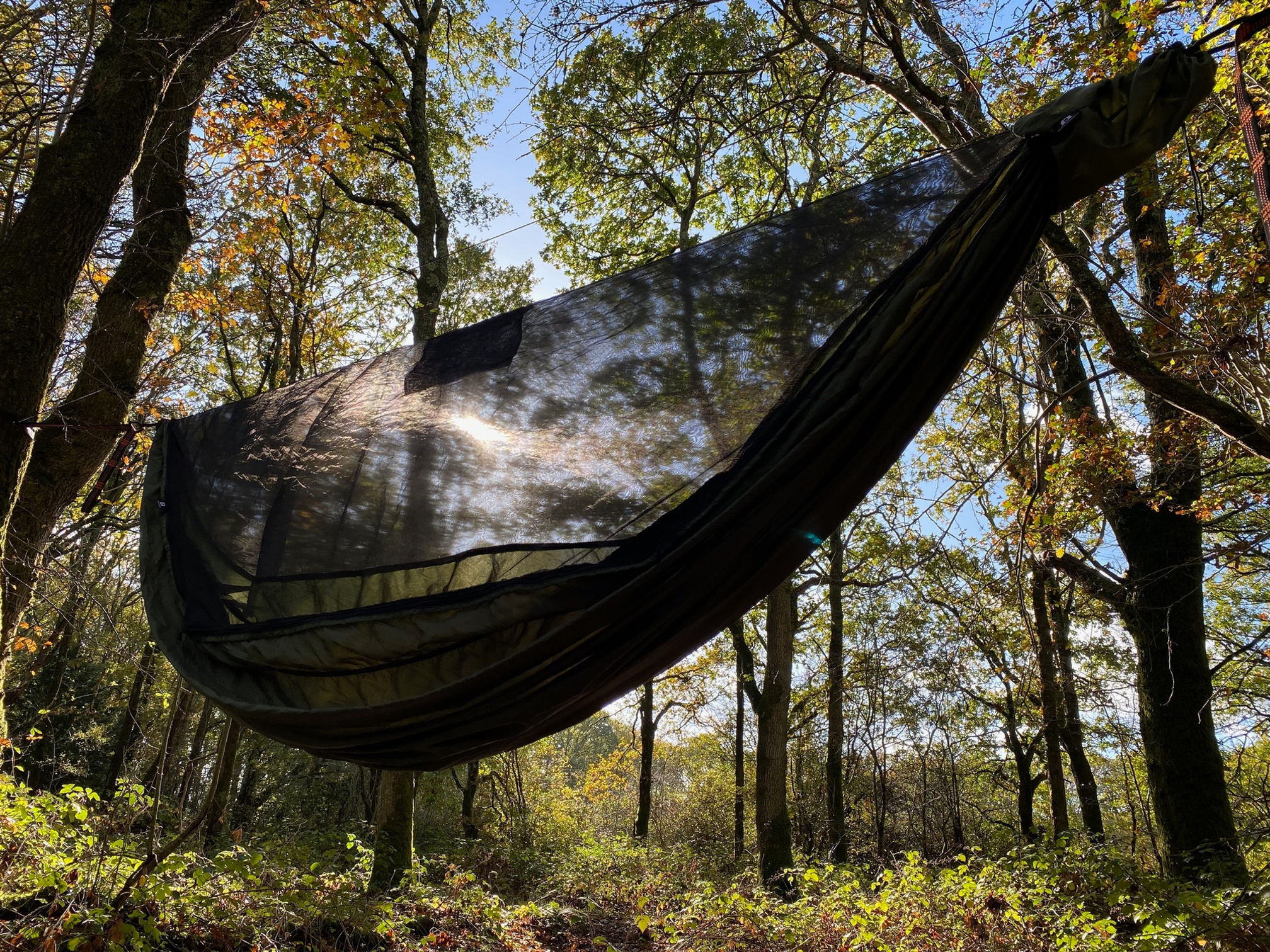 Discovery Hammock