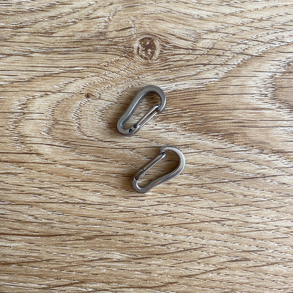 Thumbnail: Stainless Wiregate Carabiner (pair)