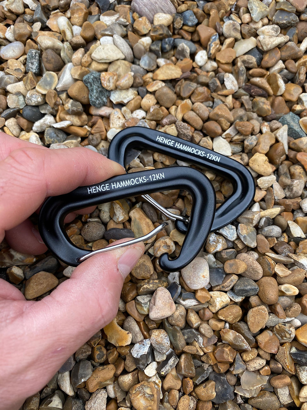 Thumbnail: Wiregate Carabiners 12kn (pair)