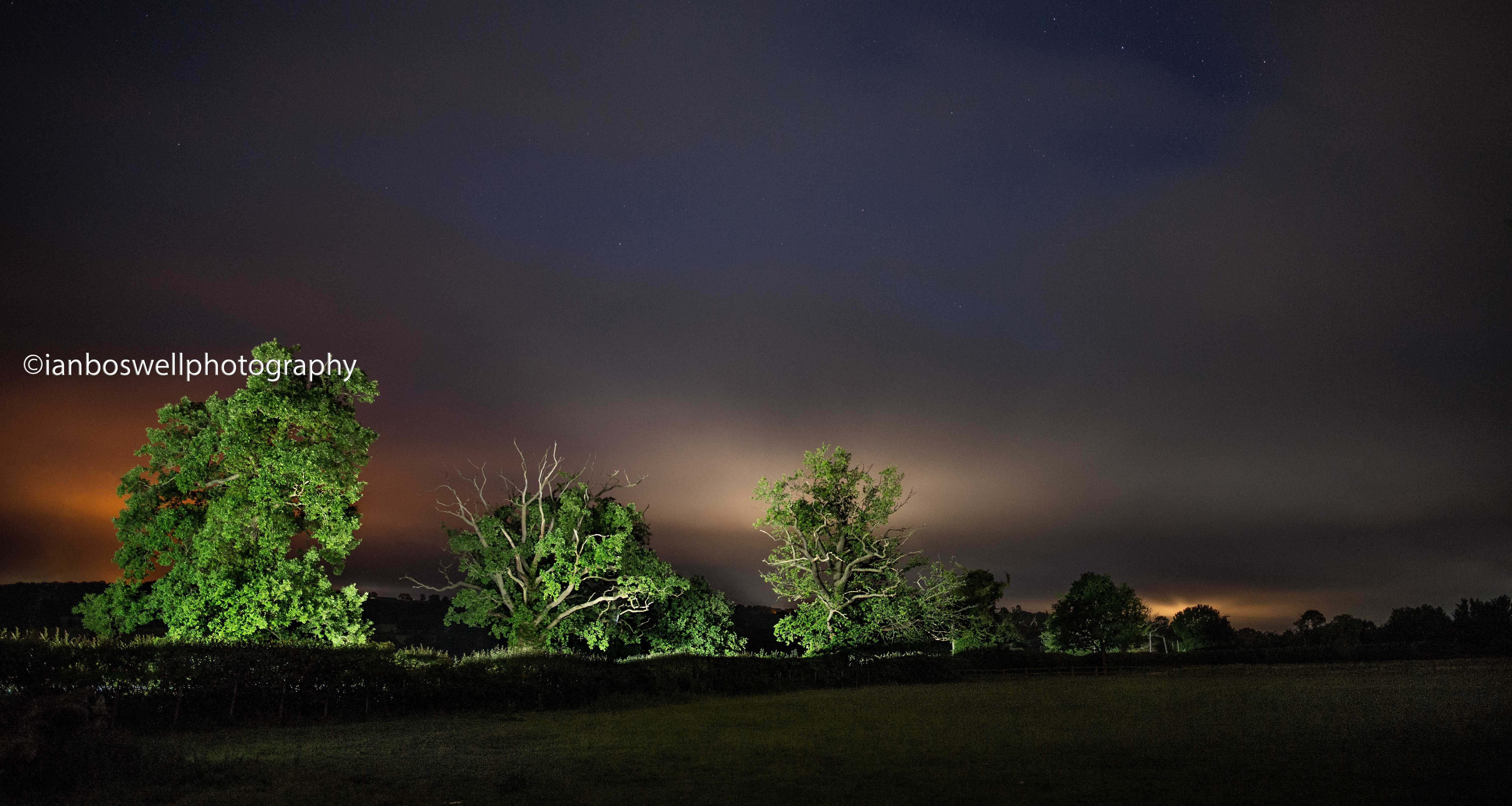 summer oaks at midnight, marden