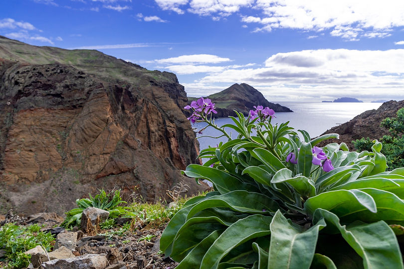 Madeira